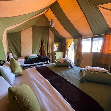 Roses Desert Camp Merzouga Exteriér fotografie